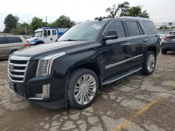  Salvage Cadillac Escalade