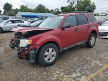  Salvage Ford Escape