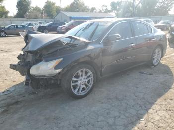  Salvage Nissan Maxima