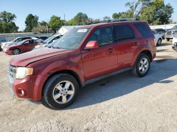  Salvage Ford Escape