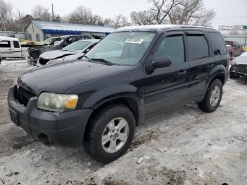  Salvage Ford Escape