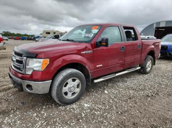 Salvage Ford F-150