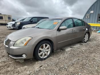  Salvage Nissan Maxima