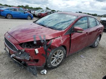 Salvage Ford Focus
