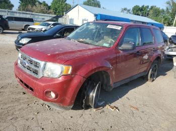  Salvage Ford Escape