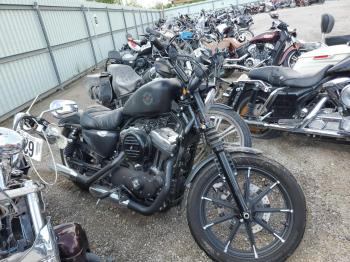  Salvage Harley-Davidson Xl883 N