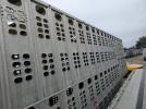 Wilson Livesailer Image 9
