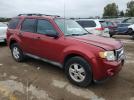Ford Escape Xlt Image 4