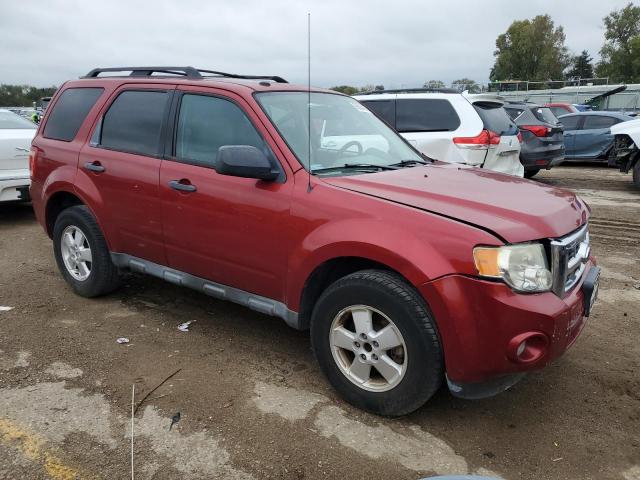 Ford Escape Xlt Image 4