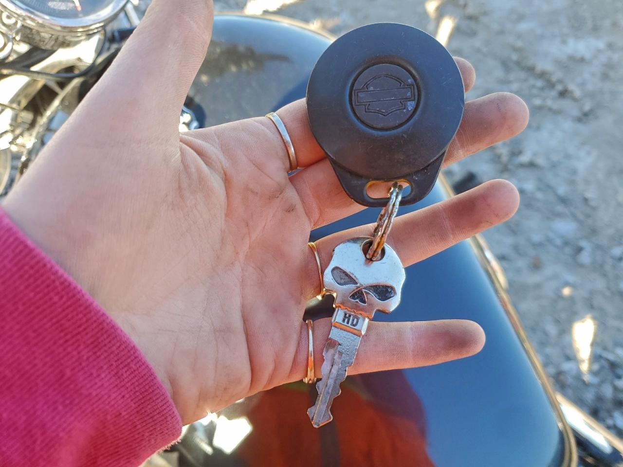 Harley-Davidson Sprtstr120 C Image 7