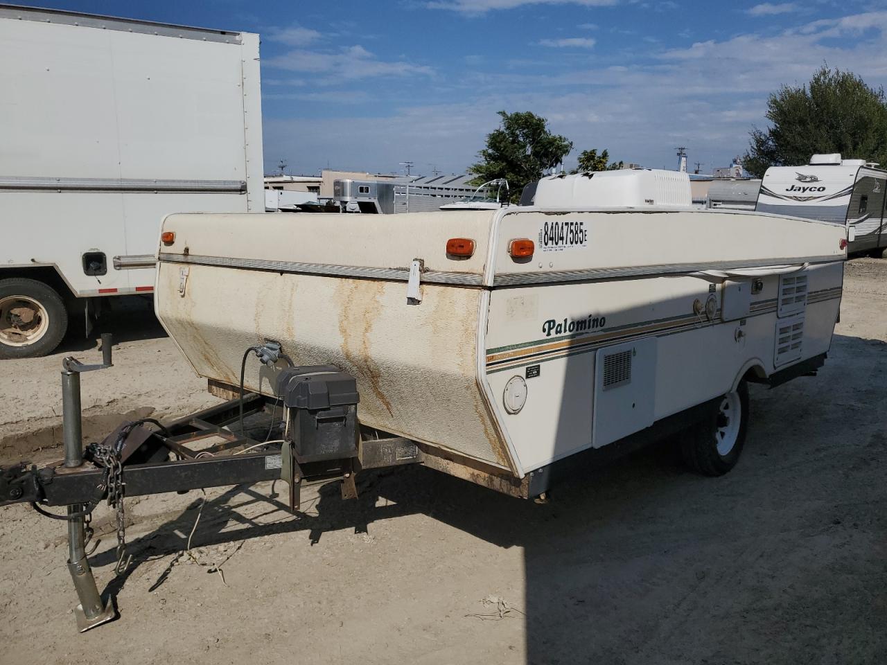 Palomino Palomini Image 5