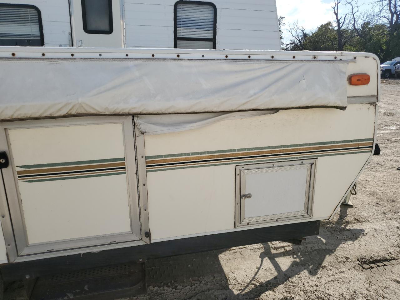 Palomino Palomini Image 8