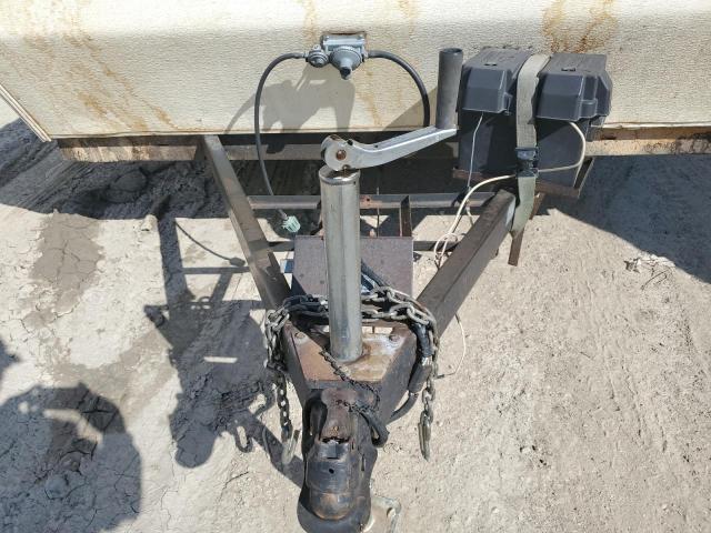 Palomino Palomini Image 4