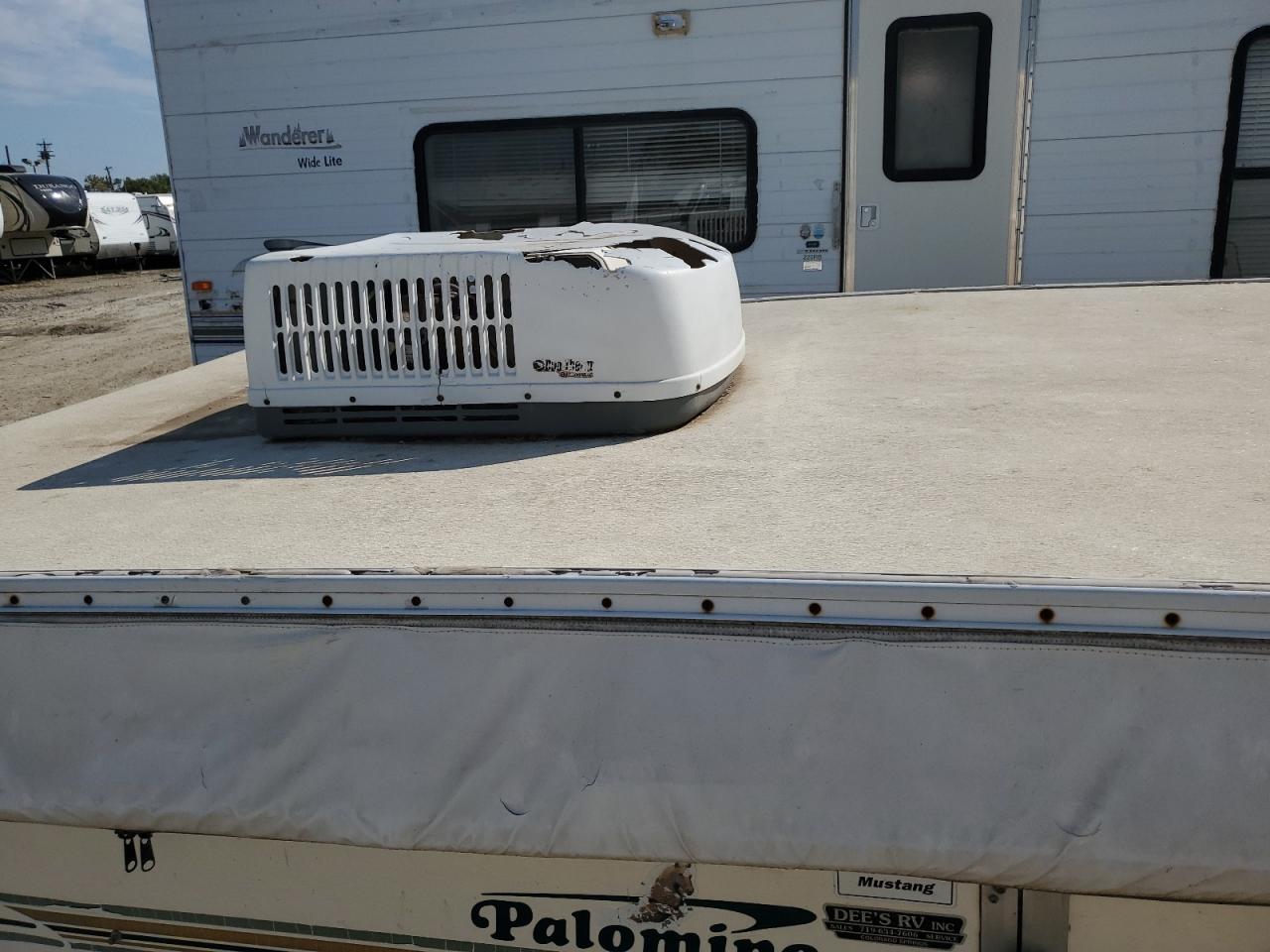 Palomino Palomini Image 10