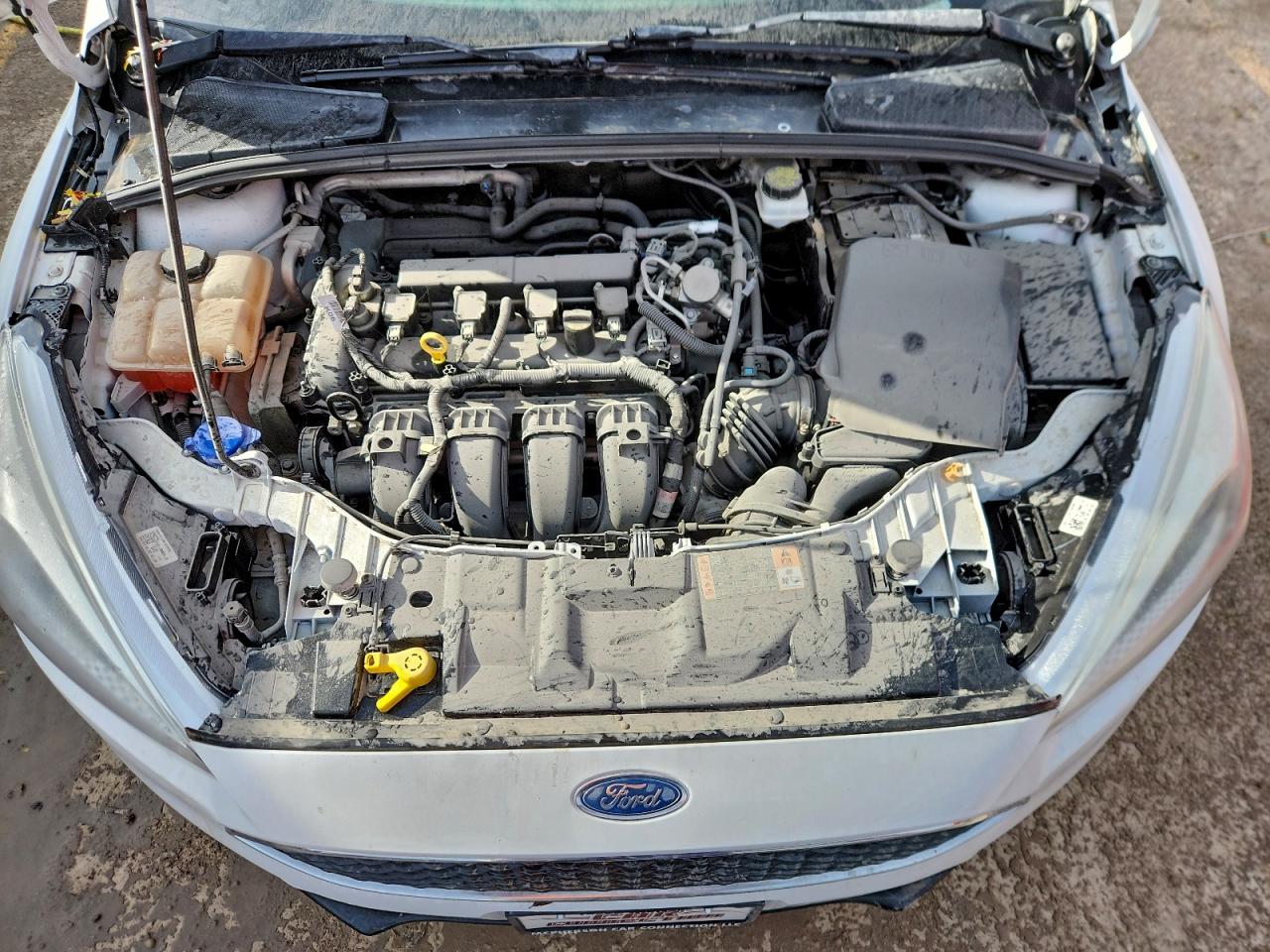 Ford Focus Se Image 10