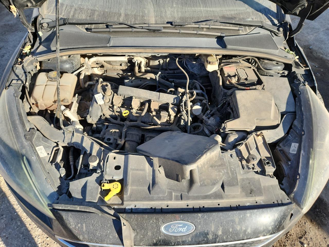 Ford Focus Sel Image 3