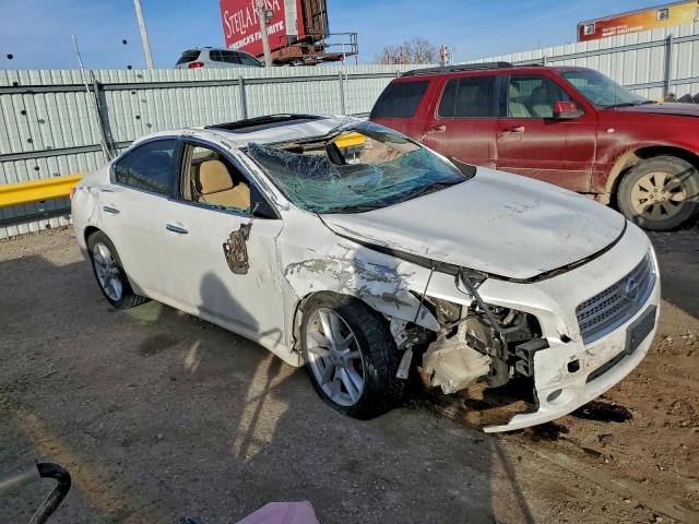 Nissan Maxima S Image 2