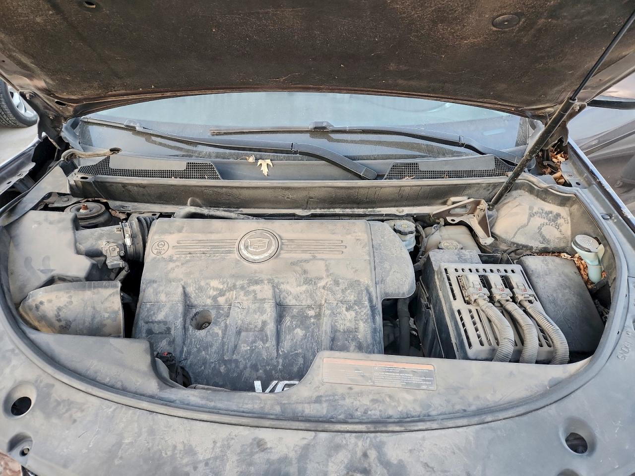 Cadillac SRX Luxury Collection Image 4