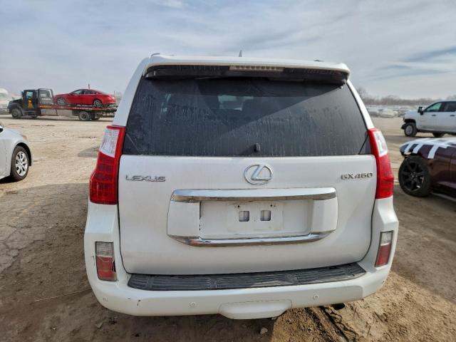 Lexus Gx 460 Premium Image 6