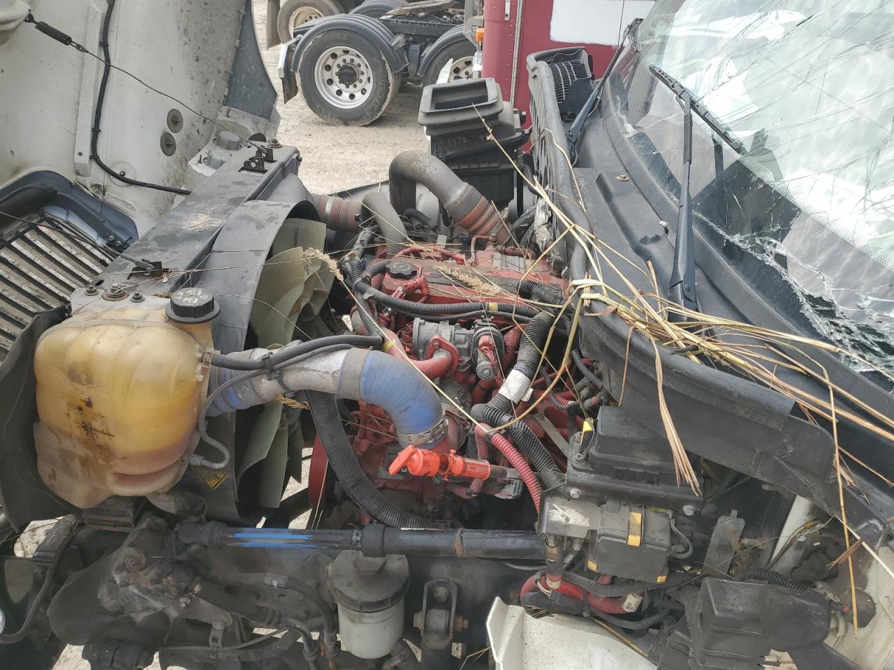 International 4300 4300 Image 5