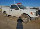 Ford F-150 Image 3