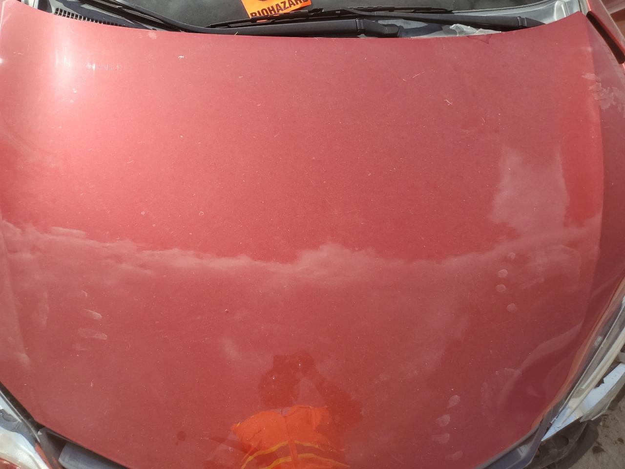 Toyota Corolla L Image 8