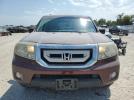Honda Pilot Exl Image 10