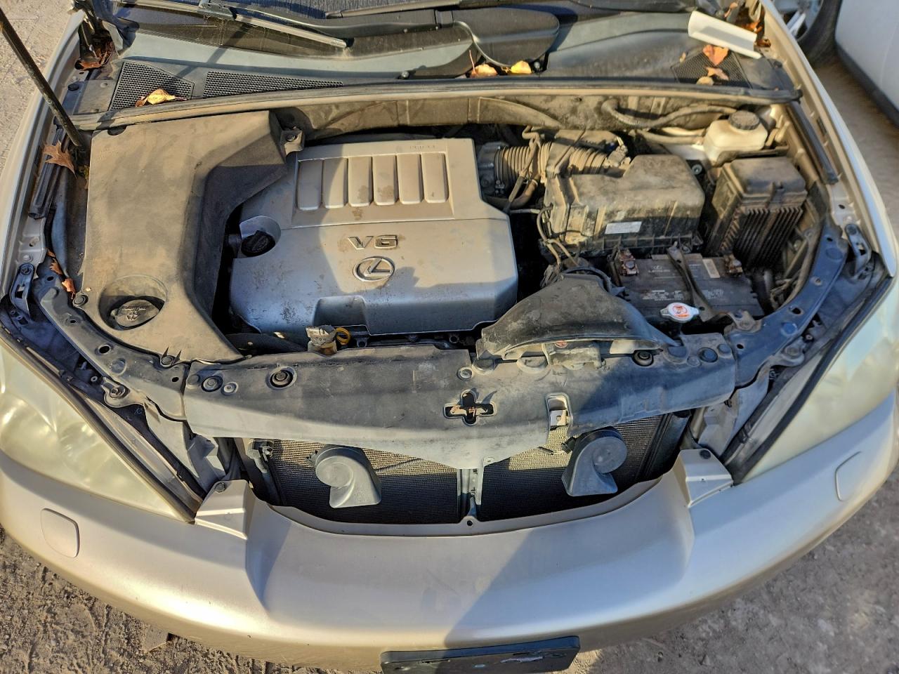 Lexus RX 350 Image 3