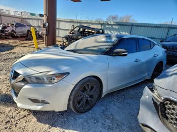  Salvage Nissan Maxima