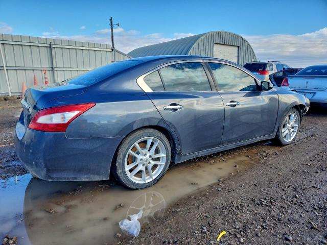 Nissan Maxima S Image 4